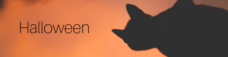 Halloween events graphic, things to do this Halloween, things to do in october