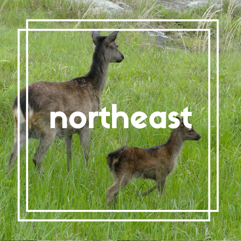 family friendly road trips in oklahoma, northeastern oklahoma