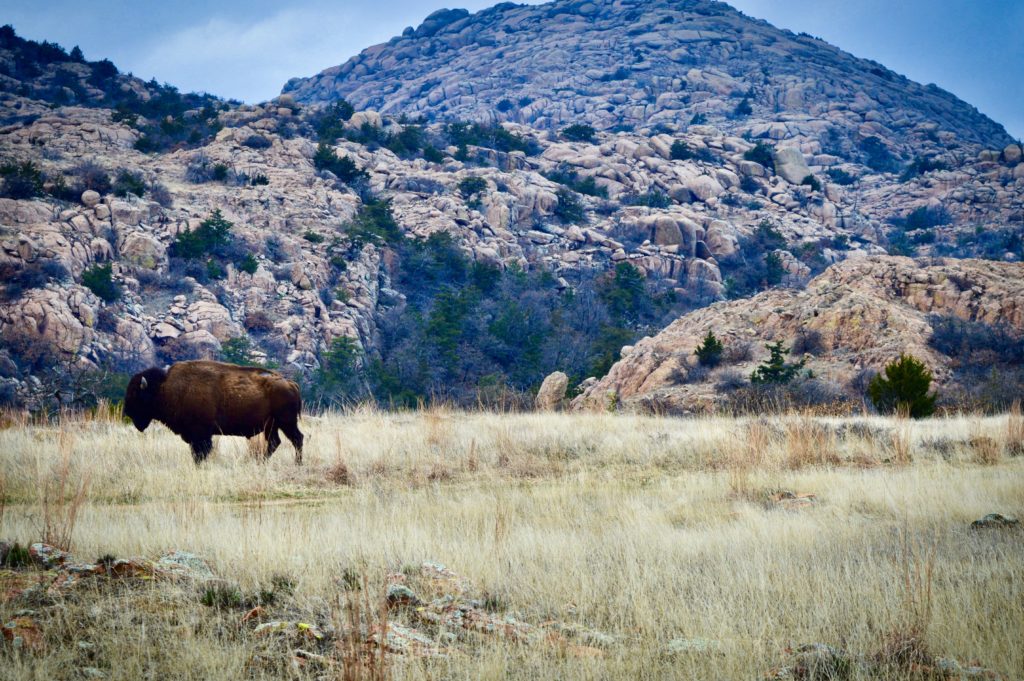 Lawton long weekend getaway - MetroFamily Magazine