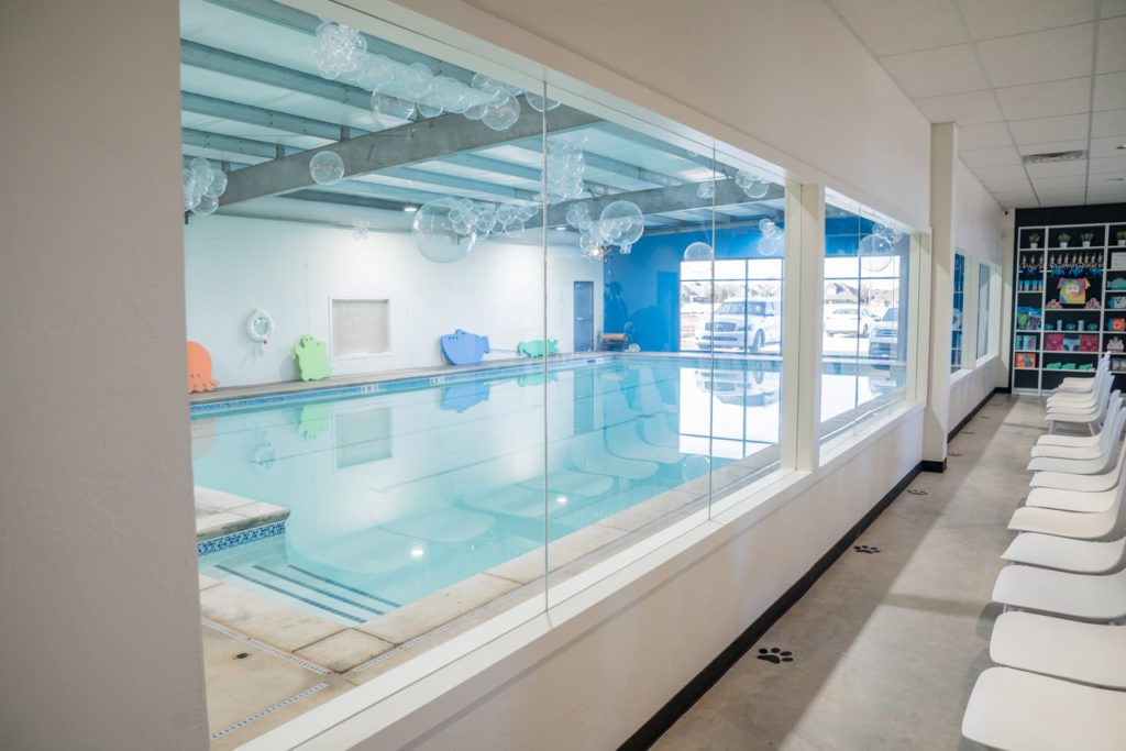swim lessons, Oklahoma Swim Academy
