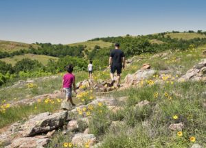 Hiking through wildflowers in medicine park