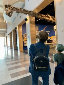 Little boy and his Nana looking at a dinosaur skeleton with a 40 foot long neck.
