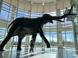8-year-old boy posing with a giant mammoth sculpture
