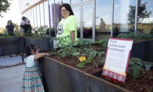 Chef Loretta’s Garden at FAMcamp