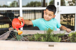 A boy watering a plant through Metro Grows, one of the free events at metro libraries 